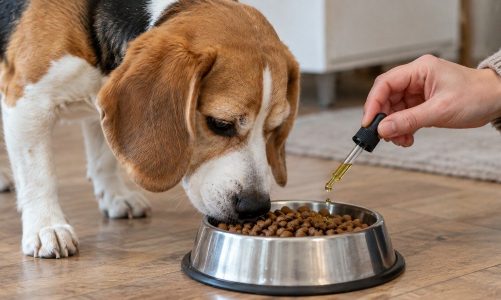 Integratori per cani: quali sono davvero utili?